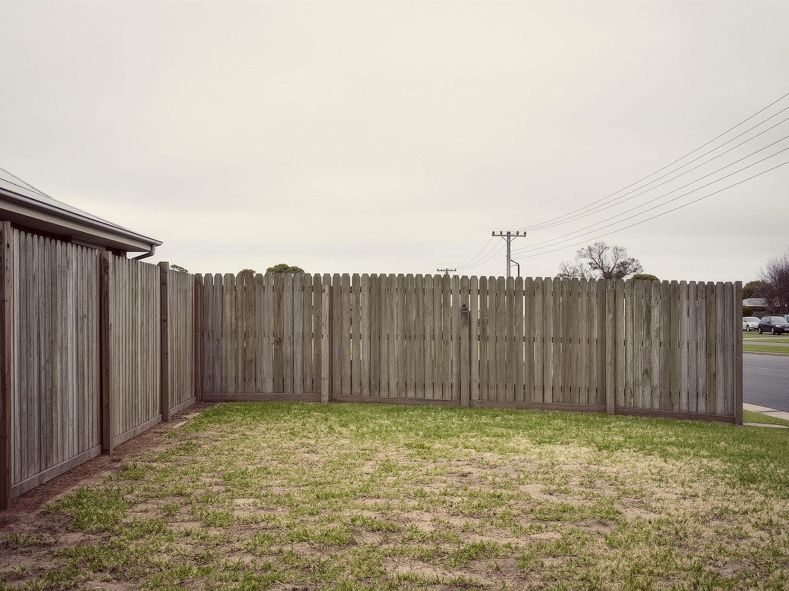 Tired suburban backyard with patchy lawn and bare paling fence